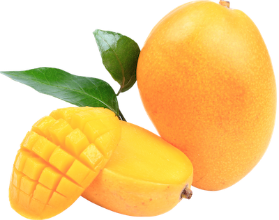 mango fruit picture